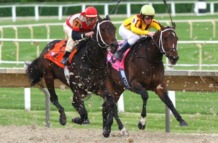 Illinois Horse Racing Industry Awaits Racino Boost