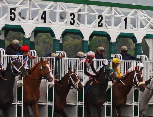 horse race betting online legal case